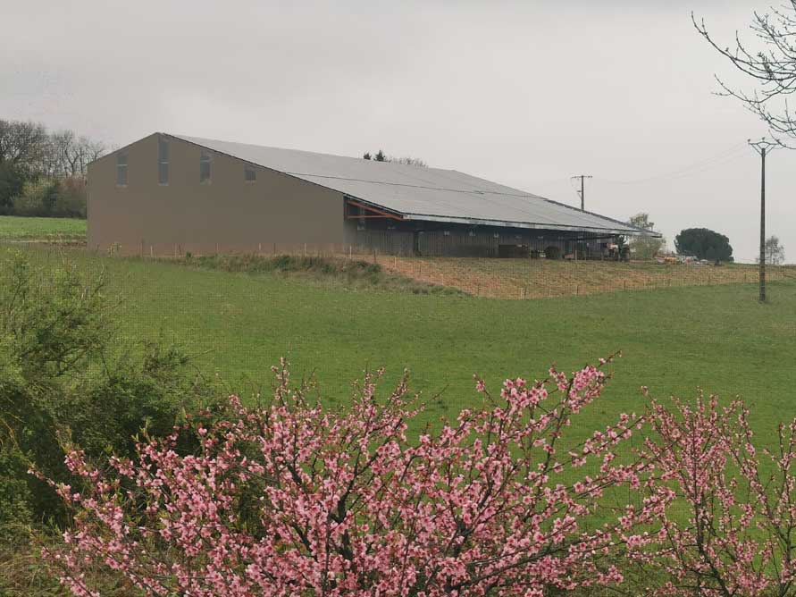 Projet à VILLENEUVE DE RIVIERE (31)
